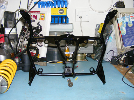 Bird cage black finish back 